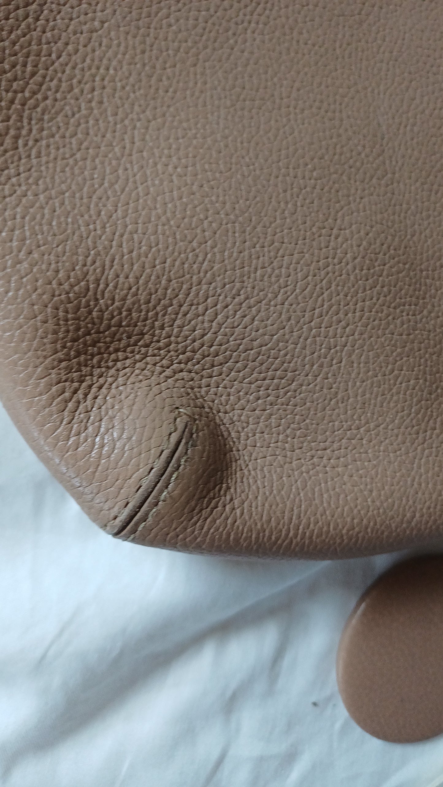 Delvaux Louise Baudrier PM.